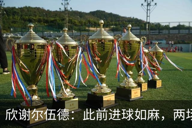 欣谢尔伍德：此前进球如麻，两场不进球就让我们学会谦逊